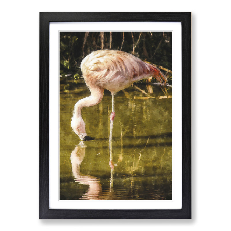 Pink Flamingo Vol.2 - Framed Print, 36cm H x 27cm W x 2cm D, Black Framed
