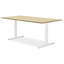 Adjustable Standing Desk-591470955-591470966