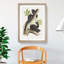 Black Squirrels by J.W. Audubon - Picture Frame Art Print-55512390-55512391