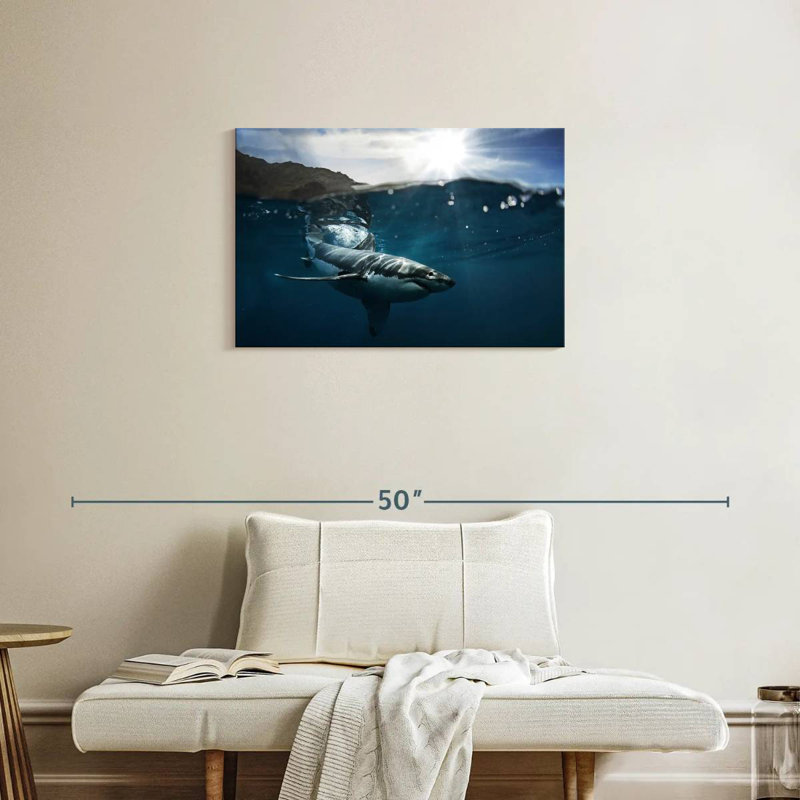 Brampt Shark Sunshine, 20" H x 30" W