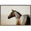 Equestrian Gaze Large by Nathan Turner