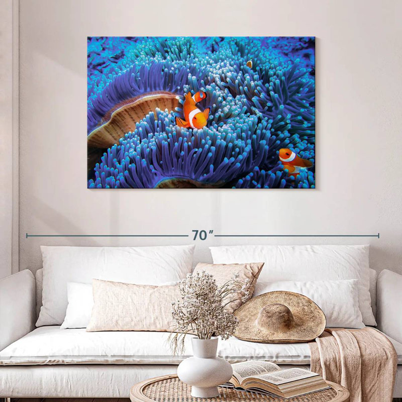 Bali sea anemone clownfish Aletra, H 30 po x l 45 po