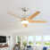 52'' 5-Blade Sand Nickle Modern Ceiling Fan With Led Light and Remote Control