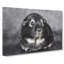 Guinea Pig - Wrapped Canvas-61852425