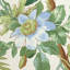 Palmetto Garden Fabric