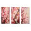 Cherry Blossoms Dark Pink Collage-8374591-8374584