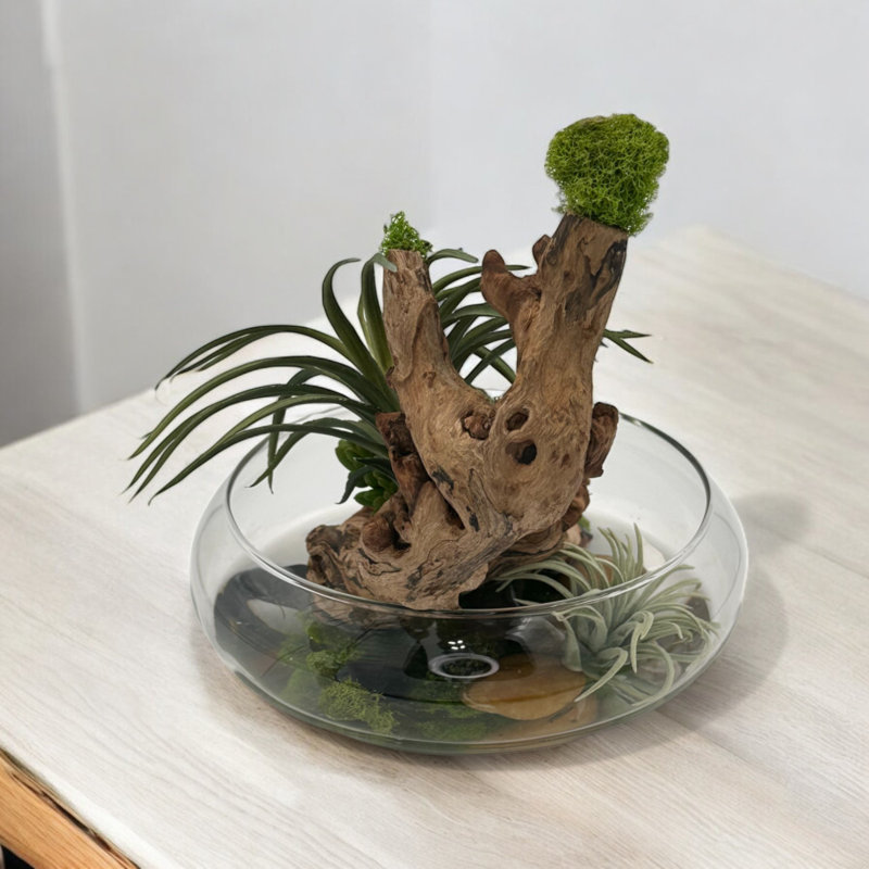 Succulent Design in Clear Round Glass Vase with epoxy | Unique Succulent Vase with Artificial Succulents