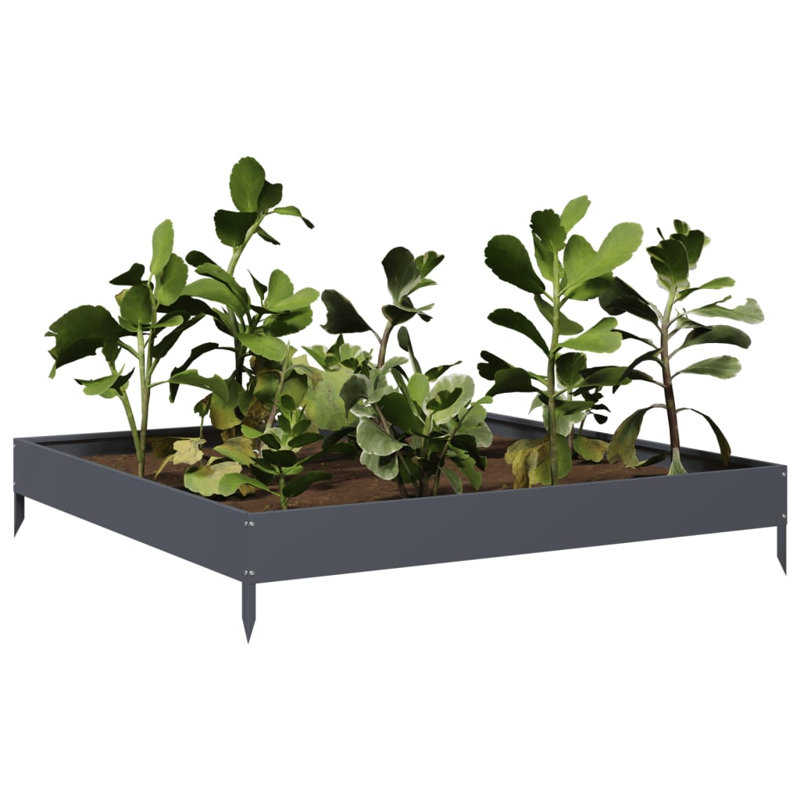 Caylub Metal Raised Garden Bed, Anthracite, 18.5cm H x 100cm W x 100cm D