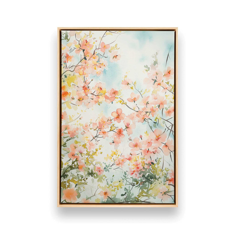 Imani, American Maple