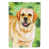 Golden retriever blond sélectionné