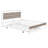 Carraway Metal Platform Bed with Trundle and Power Outlets Headboard-1587484741-1587484743