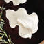 Villa Ceramic Decorative Tray-1406978055-1404565870