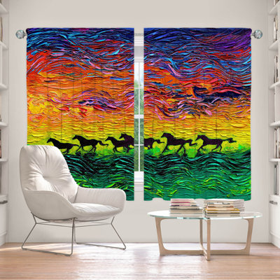 Fayyad Room Darkening Curtain Pair