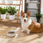 Flower Embossed Pattern Anti-skid Stoneware Dog Bowl-116384228