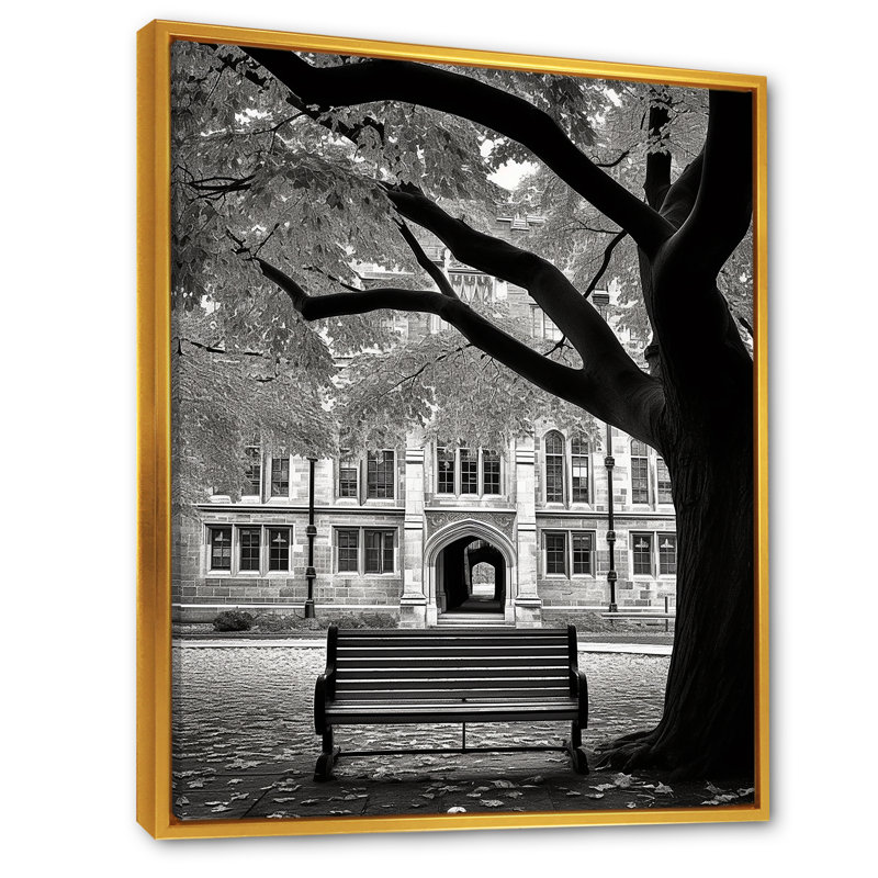 «College University Winter Photo II» sur toile, Cadre flottant doré, H 40 po x l 30 po x P 1,5 po