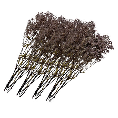 Dried Preserved Baby's Breath Stems