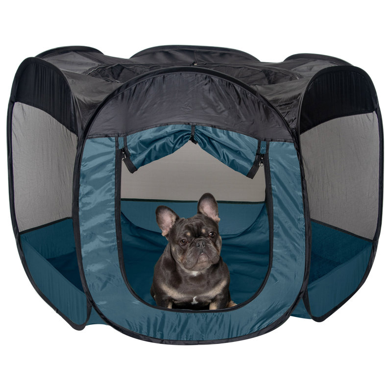 with Pet Door, 30" H x 47" W x 40" D, Sailor Blue