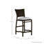 Skye 24" Patio Bar Stool with Cushion-1411552948-1411559297-1411559344
