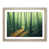 Oak Framed