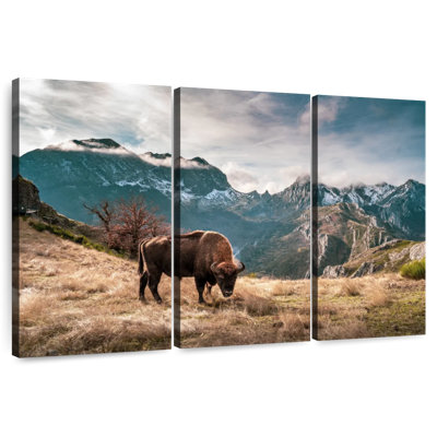 Brampt Bison Mountain Landscape
