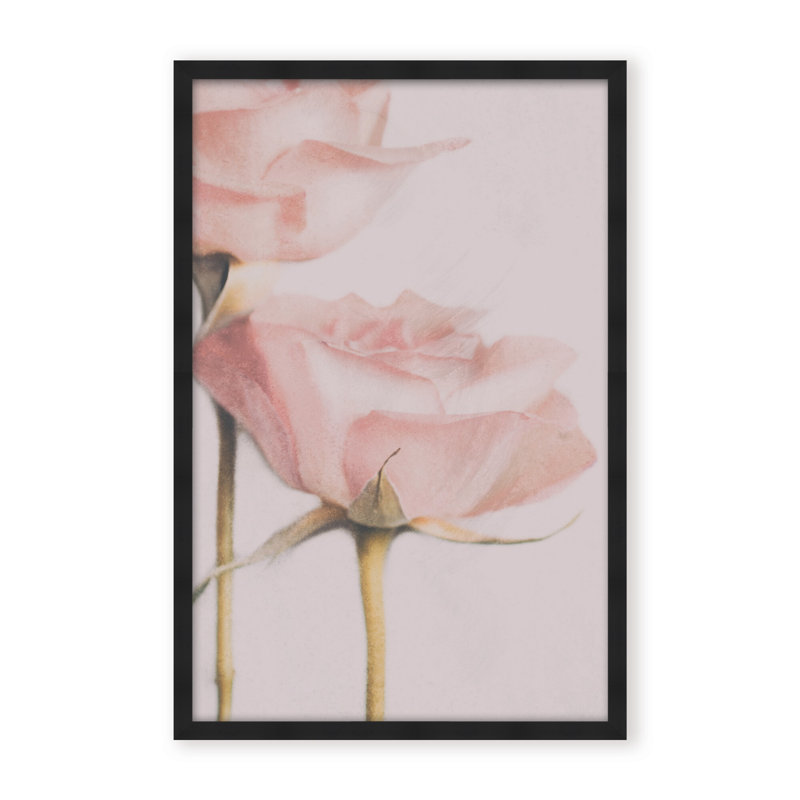 Nature Inspired Two Roses by  - Picture Frame Photograph on Paper, 36" H x 24" W x 1.125" D, Framed Print, White