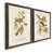 Papier, cadre noyer