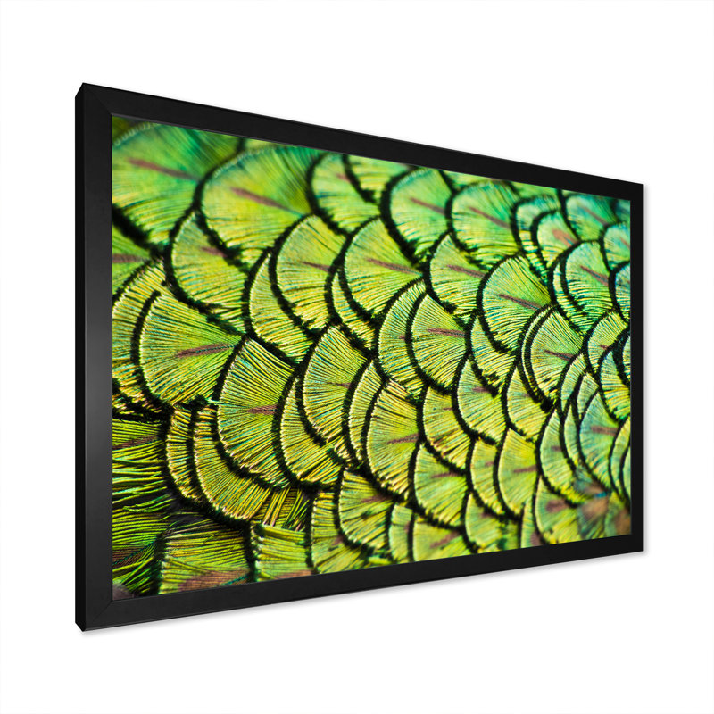 Plumes de paon vert - reproduction d'art sur toile, Cadre photo noir, H 8 po x l 12 po x P 1 po