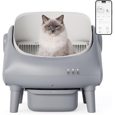 Self-Cleaning Litter Box