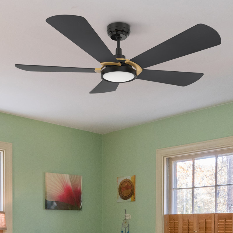 Ventilateur de plafond extérieur noir avec lumière, H 14,3 po x l 52 po