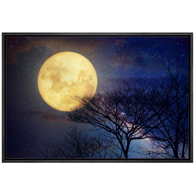 «Bare Branches Under The Full Moon In The Starry Sky - Floater Frame», impression sur toile, Cadre noir