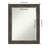 Carny Mirror-497712552