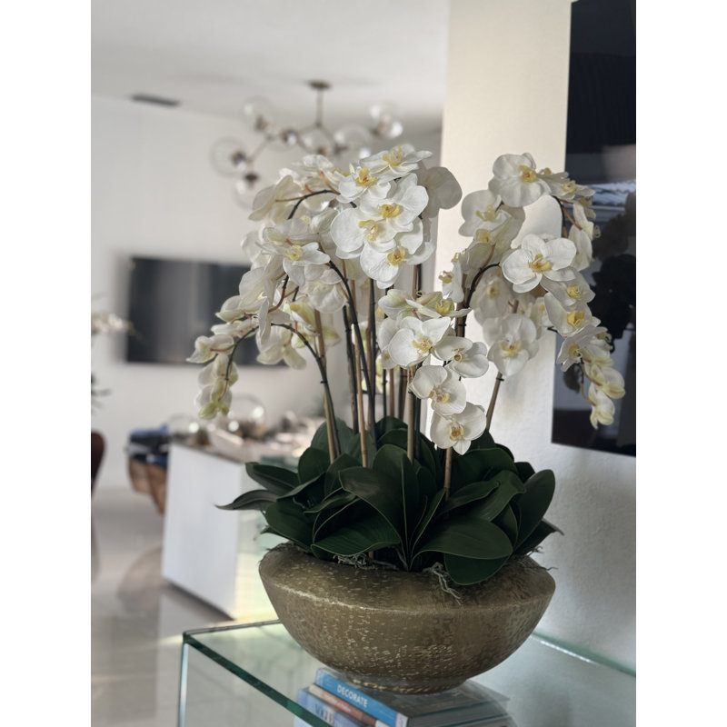 Blaze Bowl With Phalaenopsis Orchids, White