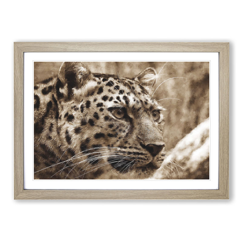Leopard Vol.3 - Picture Frame Painting, 27cm H x 36cm W x 2cm D, Oak Framed