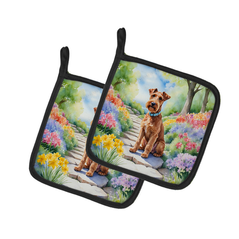 Paire de poignées Irish Terrier Spring Path