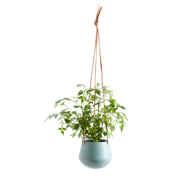 Nonce Handmade Ceramic Hanging Planter, Teal, 4" H x 5" W x 5" D