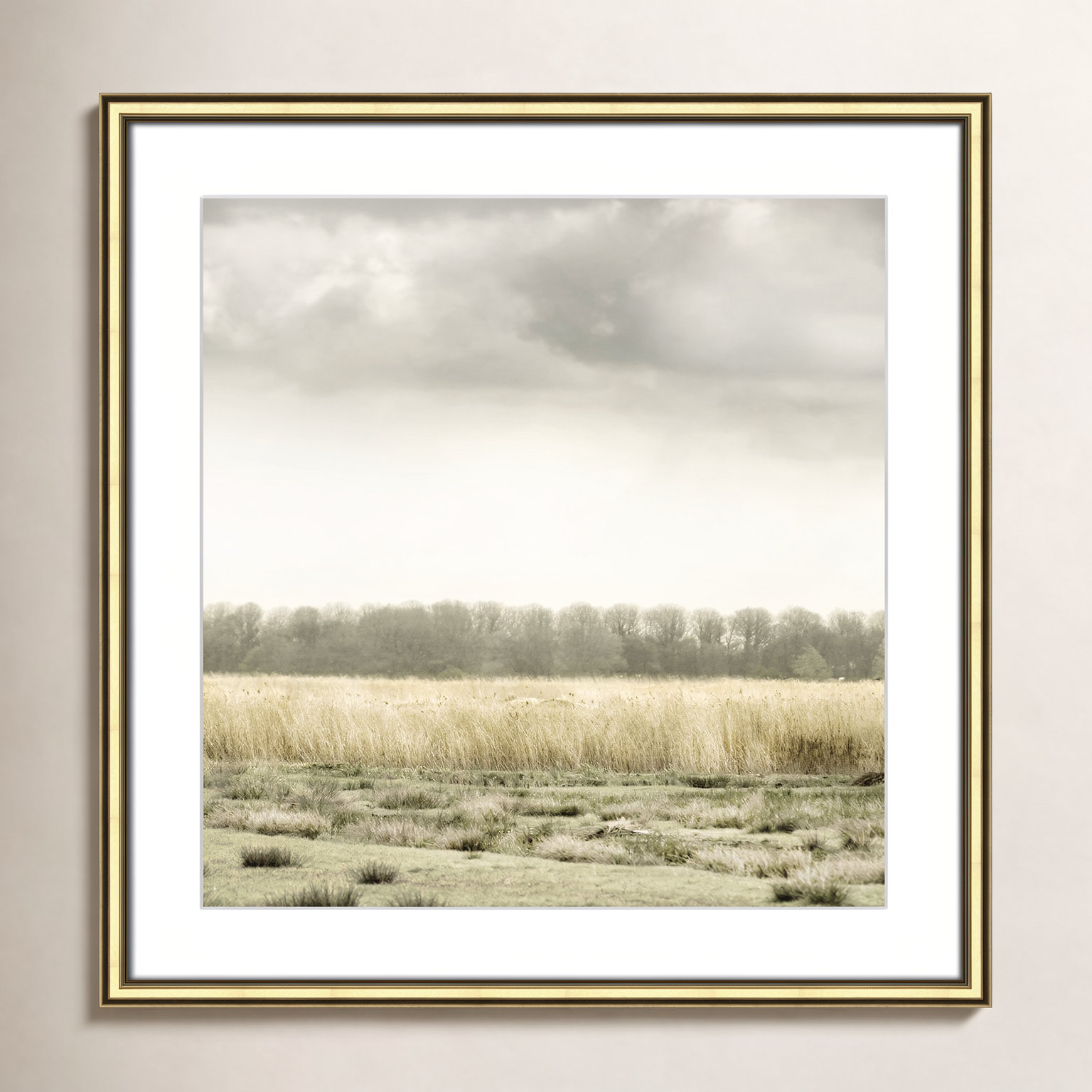 Henri "Meadowland" Print by Danita Delimont, Gold, 23.5" H x 23.5" W 
