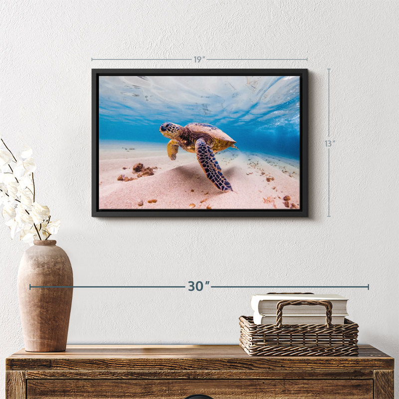 Sandy Turtle Canvas Print, 13" H x 19" W