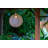 1 - Light LED Outdoor Pendant Outdoor Lighting