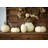 Full Moon Pumpkin Collection, Set Of 5