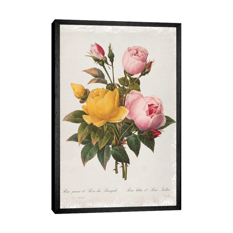 Botanical Bouquet Roses by Carol Robinson - Print on Canvas, 66.04 cm H x 45.72 cm W, Black Framed