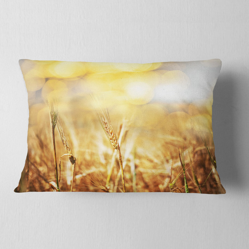 Coussin Brown, Rectangulaire, 12 po x 20 po