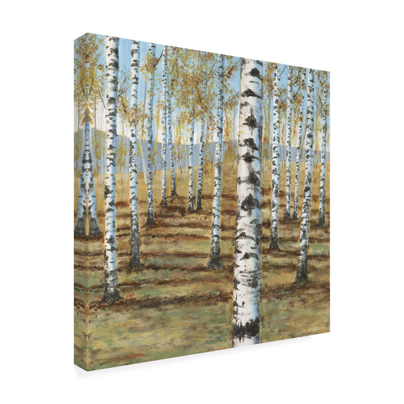 «Birch Hillside I» sur toile, H 14 po x l 14 po
