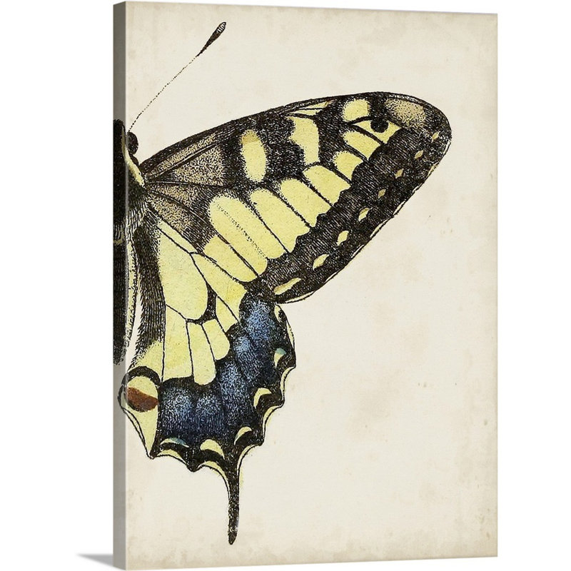 Art sur toile pour enfants big papillon, Toile tendue avec châssis, H 36 po x l 12 po x P 1,2 po