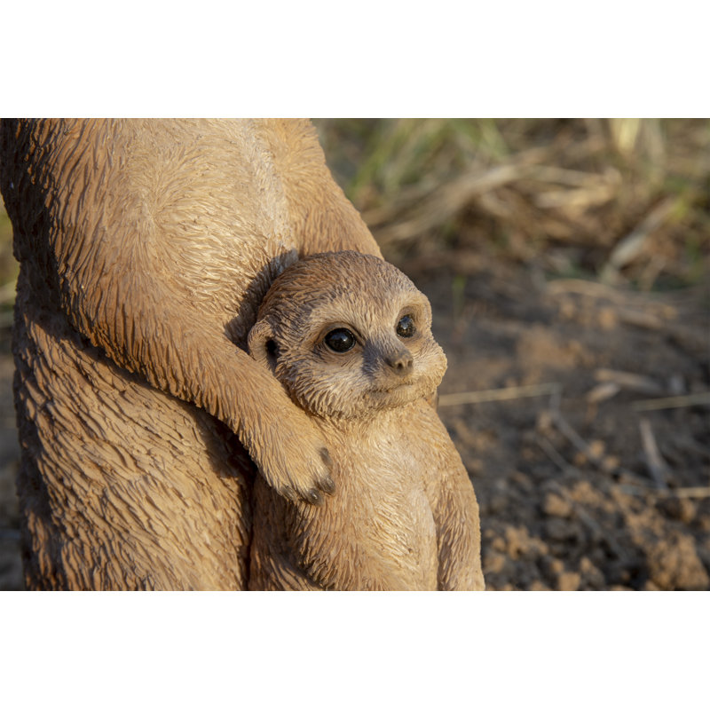 Mother and Baby Meerkat