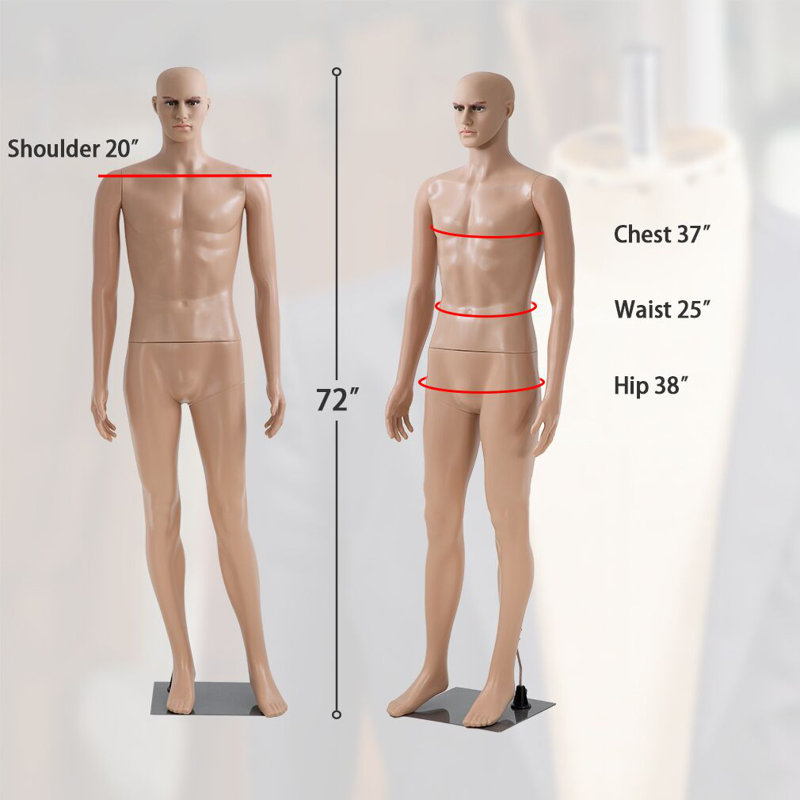 Mannequin homme complet H 73 po x l 16 po x P 12 po