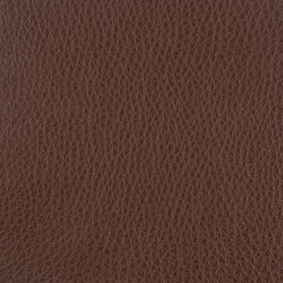 Edgewater Fabric, Brown