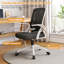 Blue Elephant Mesh Task Chair-1701214724
