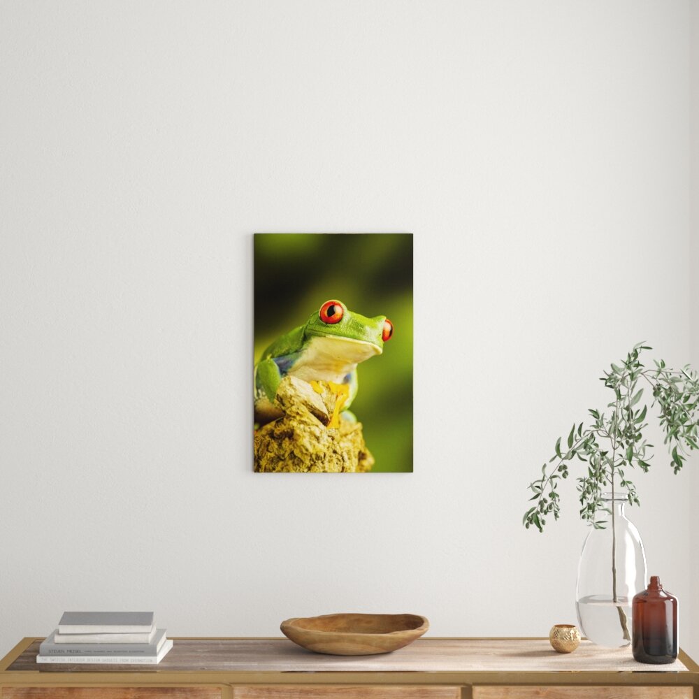 Leinwandbild ,,Grüner Rotaugen Frosch", Fotodruck