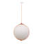 Rustic Lodge 1 - Light Pendant