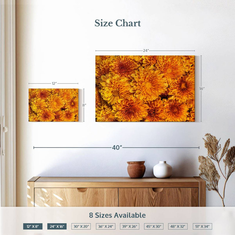 Harnek Chrysanthemums Bloom, H 16 po x l 24 po